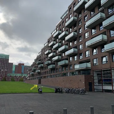 Bridge View Rotterdam